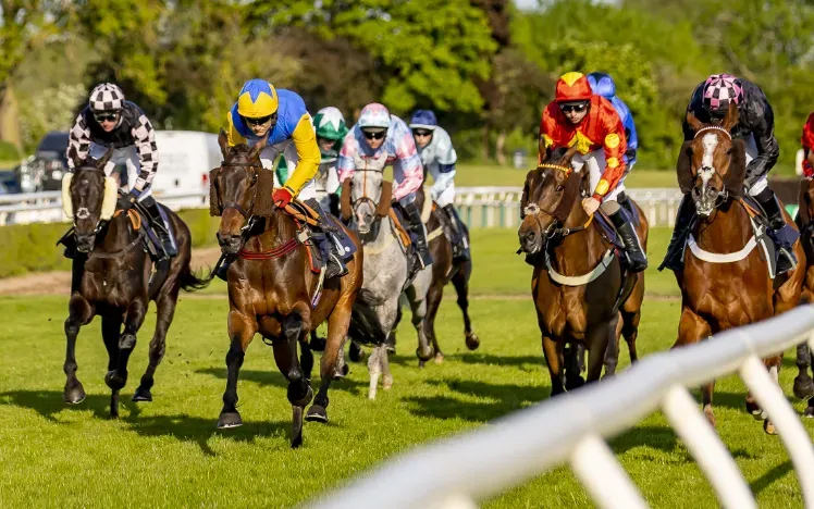 horse racing scene