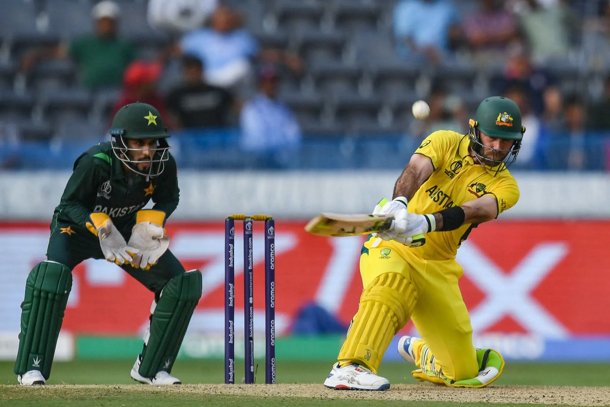 Cricket