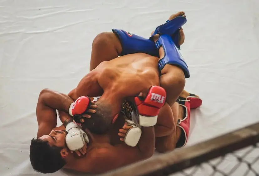 Mma Amateur
