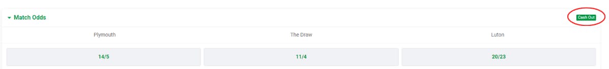 Paddy Power help illustration marking a cash out eligible selection